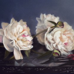 Pivoines - Pastel - Daniel Solnon