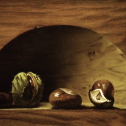 Les marrons - huile sur toile