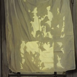 Le rideau - huile sur toile