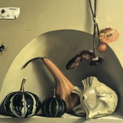 Nature morte aux coloquintes - huile sur toile