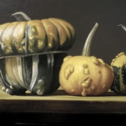Les coloquintes - huile sur toile