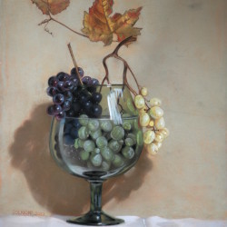 Grappes de raisin