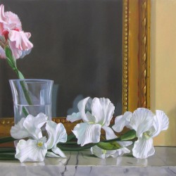 Les iris blancs