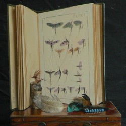 mes peintures 062_o