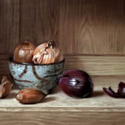 Oignons - 43 x 31 cm